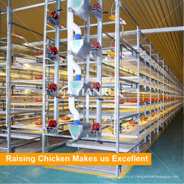 China fabricante H Tipo Automatic Broiler Poultry Farm Cage Design